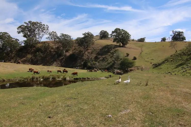 Second view of Homely rural property listing, 5011 Great Alpine Road, Ensay VIC 3895
