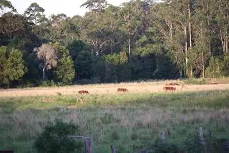 Second view of Homely land listing, Lot 11 Bago Park Estate, Wauchope NSW 2446