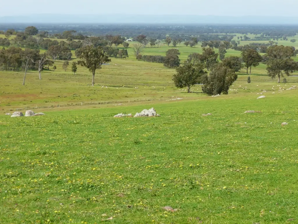 Main view of Homely rural property listing, 116 Moores Bridge Road, Springhurst VIC 3682