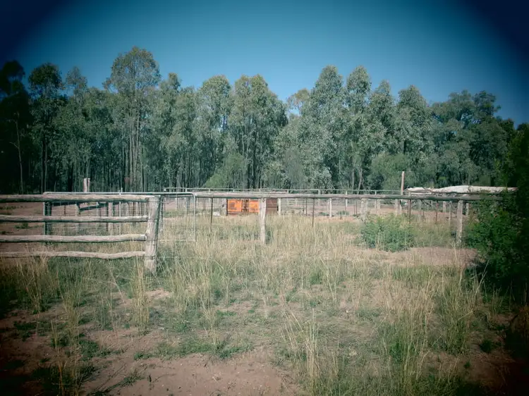 Fifth view of Homely rural property listing, 1001 WIEAMBILLA ROAD, Tara QLD 4421