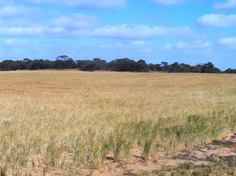 Sixth view of Homely land listing, Section 24 Conservation Road, Pinnaroo SA 5304