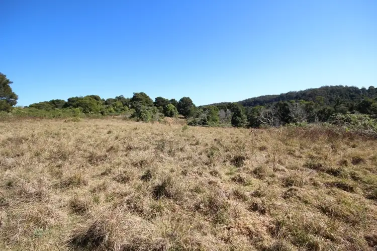 Fourth view of Homely rural property listing, 723 Glenwarrin Road, Elands NSW 2429