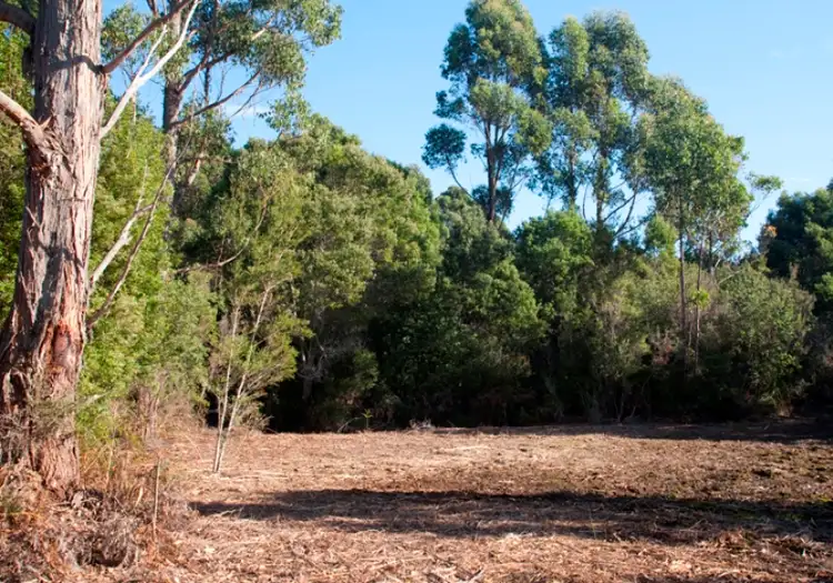Second view of Homely land listing, Lot 1 / 23 Coolangatta Rd AdventureBay, Bruny Island TAS 7150