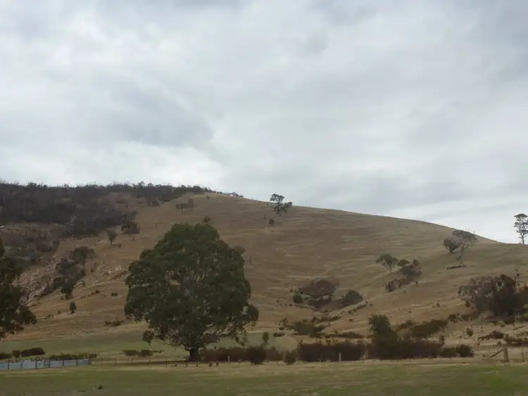 Third view of Homely rural property listing, 0 Government Road, Elmhurst VIC 3469