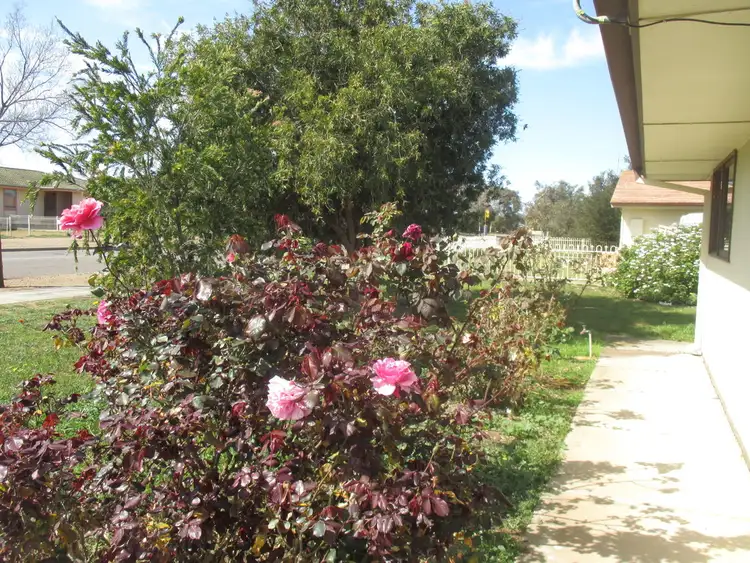 Fifth view of Homely house listing, 19 OWL DRIVE, Murray Bridge SA 5253
