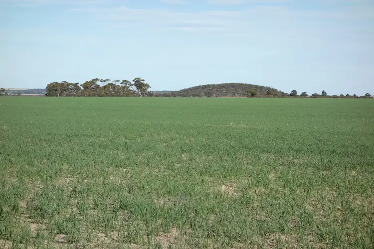 Main view of Homely rural property listing, 2262 Hyden Kondinin Road, Kondinin WA 6367