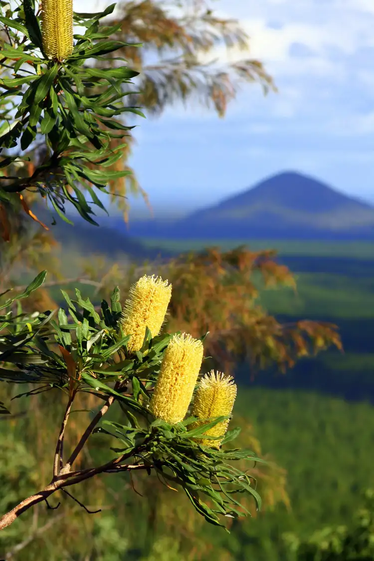 Main view of Homely land listing, Lot 86 Palmerston Crescent, Beerwah QLD 4519