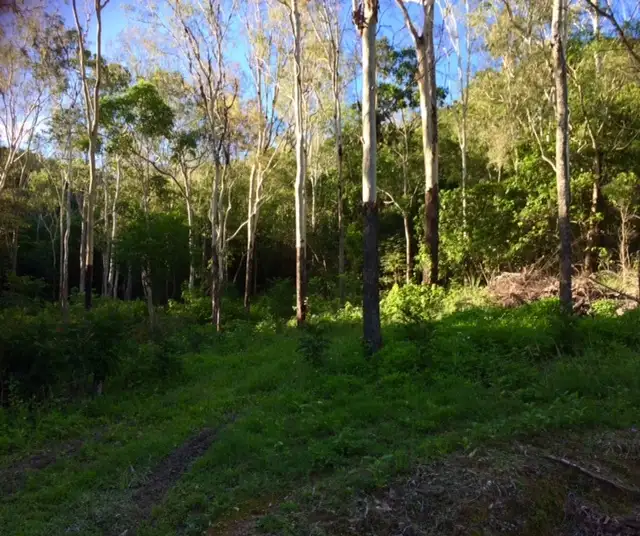 50 Smethurst Road, Mount Julian QLD 4800