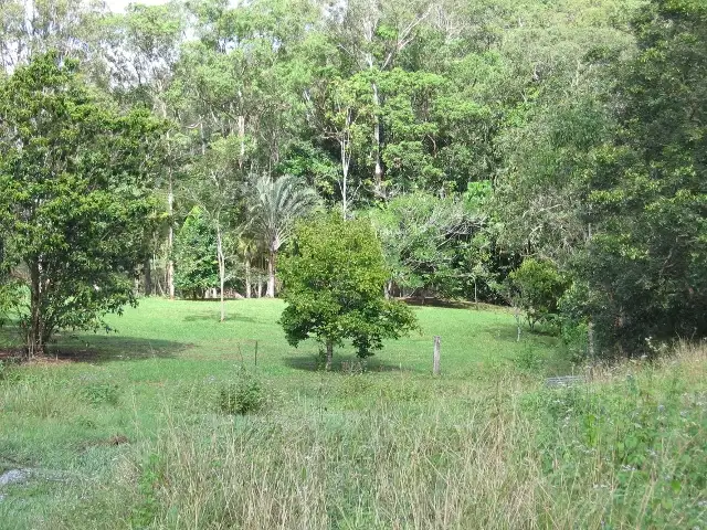 Fifth view of Homely house listing, 910 Euluma Creek Road, Julatten QLD 4871