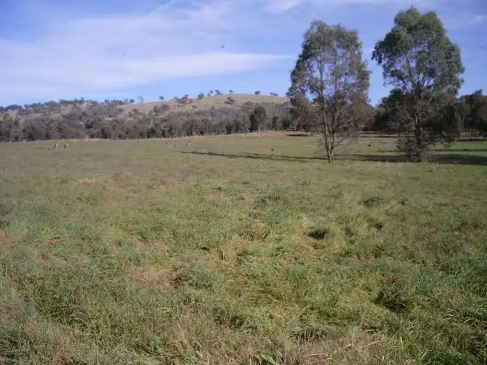 Second view of Homely rural property listing, 44 Rathmells Lane, Cootamundra NSW 2590