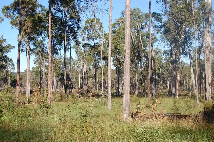 Lot 112 Barragunda Road, LEEVILLE via, Casino NSW 2470