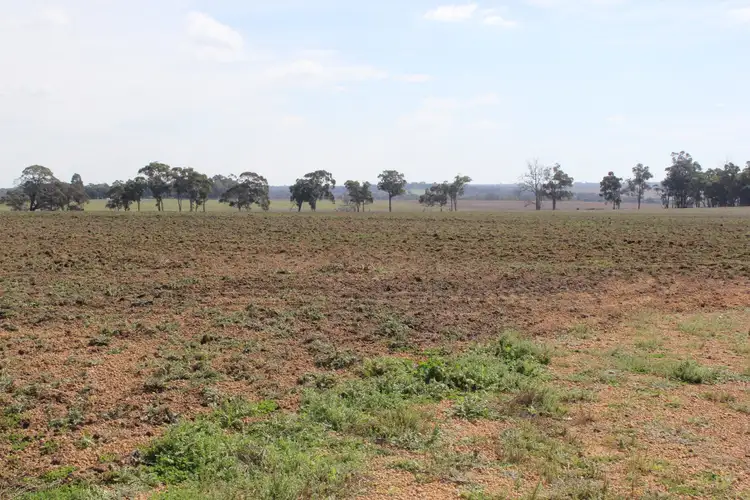 Second view of Homely rural property listing, Lot 818 Halsey Road, Mount Barker WA 6324