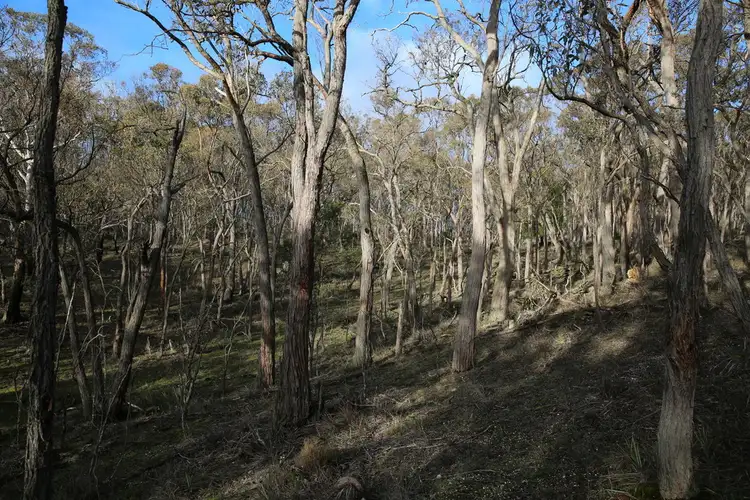 Seventh view of Homely land listing, Lot 39 Station Lane, Carngham VIC 3351