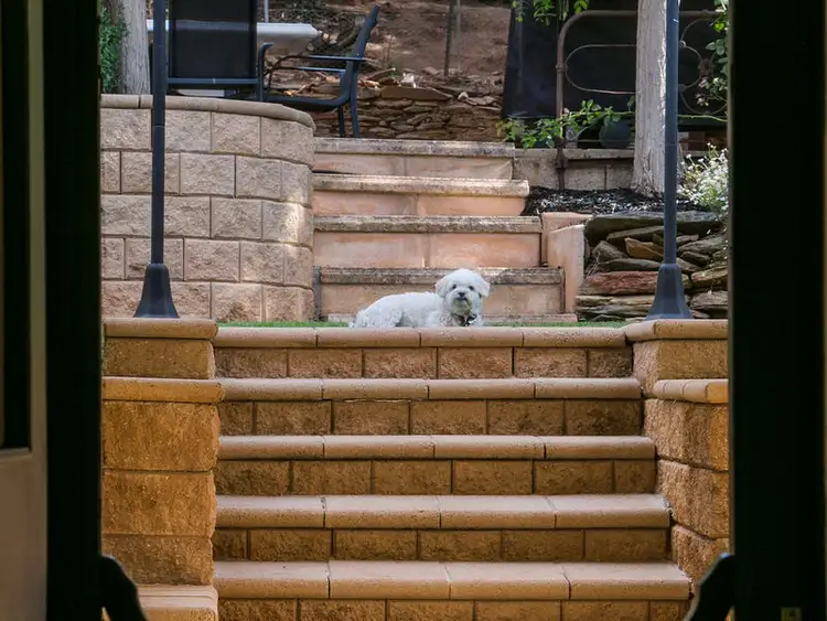 Fifth view of Homely house listing, 17 Grants Gully Road, Clarendon SA 5157