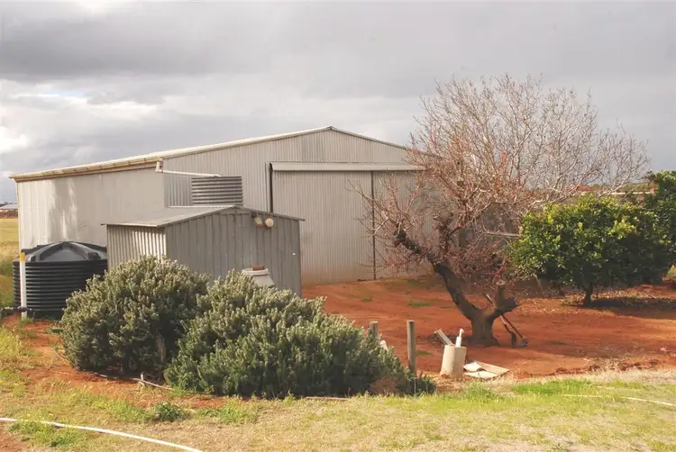Third view of Homely house listing, 28 Rebbeck Rd Monash via, Berri SA 5343