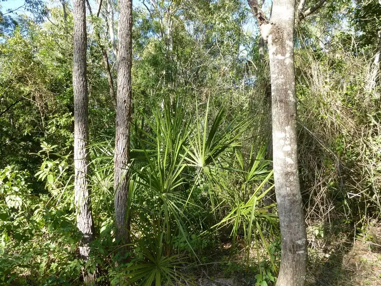 Lot 17 Clarke Road, Lowmead QLD 4676