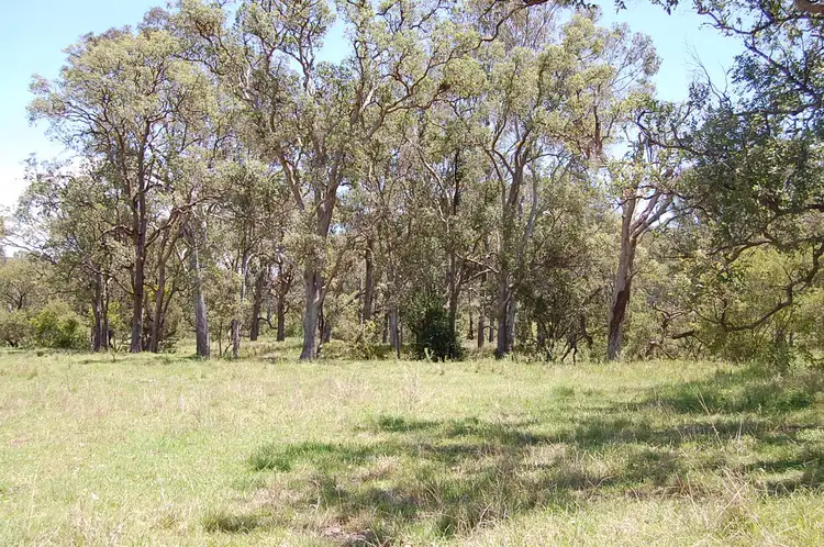 Seventh view of Homely rural property listing, L6//DP857272 Cnr of Bruxner Hwy & Clarence Way, SANDILANDS via, Mallanganee NSW 2469