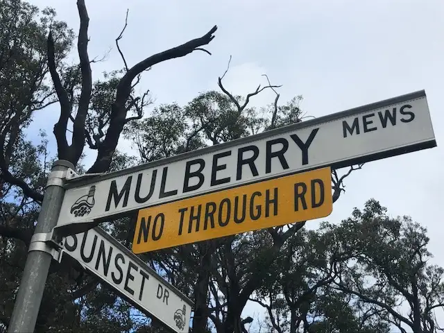 Main view of Homely land listing, 13 (152) Mulberry Mews, Cowaramup WA 6284