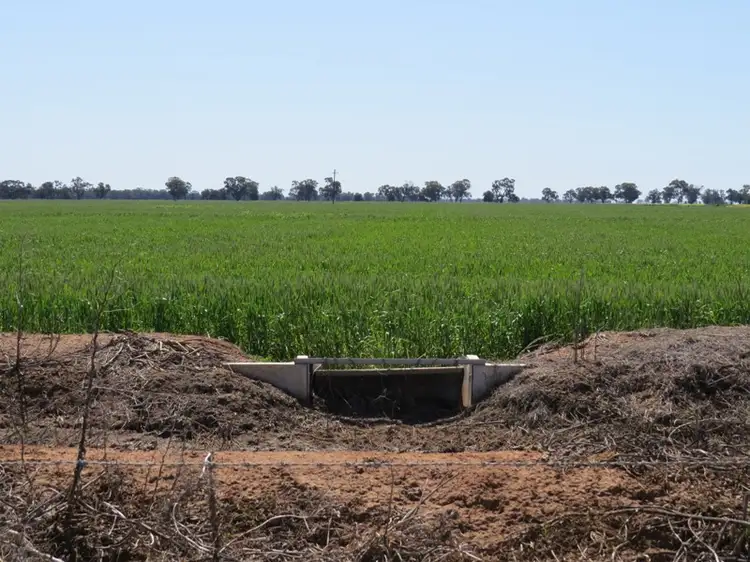 Seventh view of Homely rural property listing, 163 Holzigals Road, Finley NSW 2713