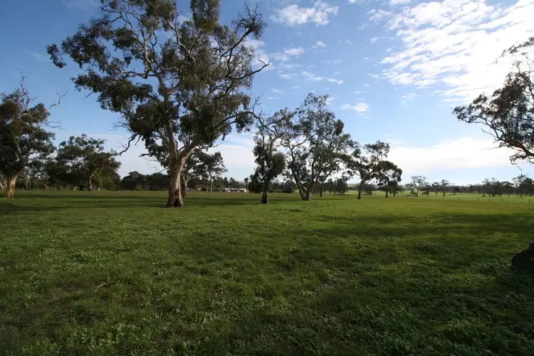 Allot 11 - 75 Repeater Station Road, Naracoorte SA 5271