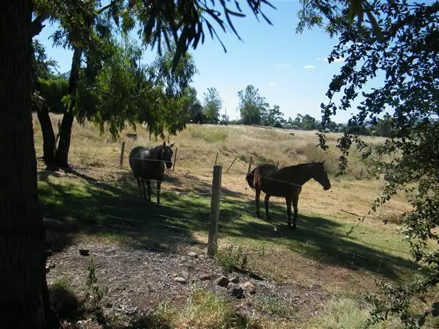 Fifth view of Homely rural property listing, 873 Black Gully Rd, Werris Creek NSW 2341