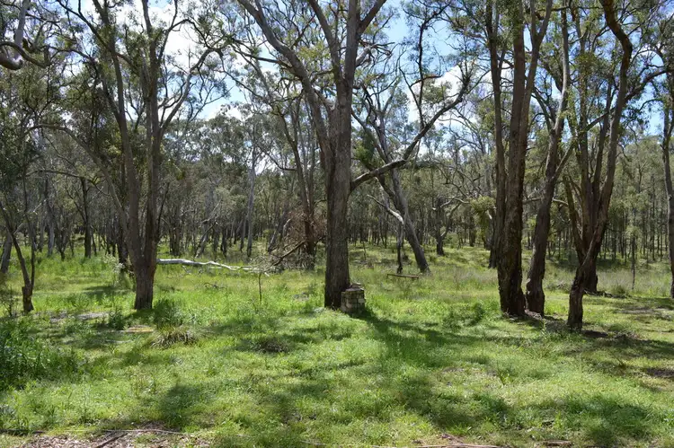 Third view of Homely rural property listing, 259 Wonga Roo Road, Gulgong NSW 2852