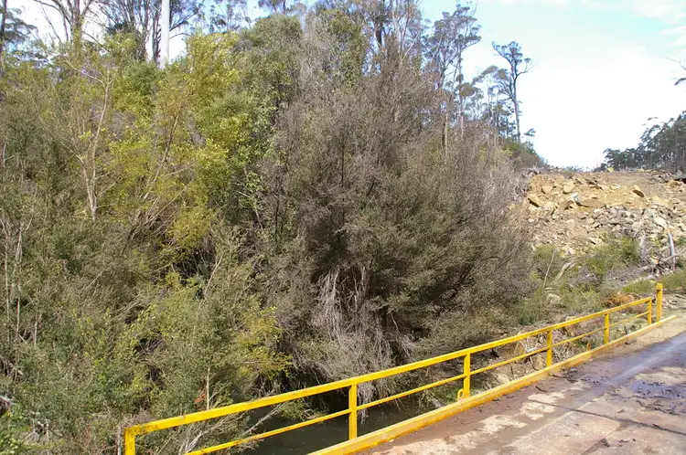 Fourth view of Homely rural property listing, Lot 3 Distillery Track, Nunamara TAS 7259