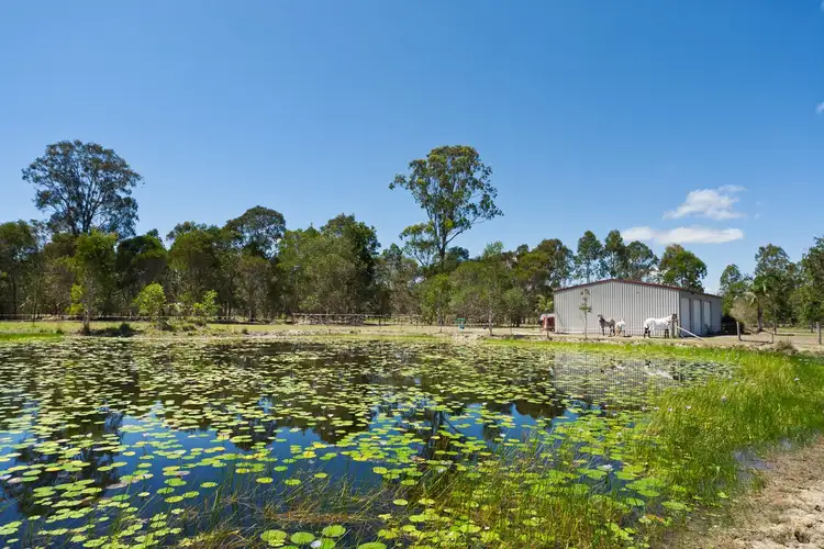 Fifth view of Homely house listing, 7 Callistemon Court, Cootharaba QLD 4565