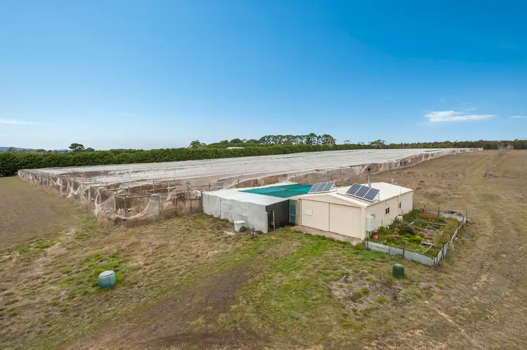 Second view of Homely house listing, 84 Carlsruhe Central Road, Kyneton VIC 3444