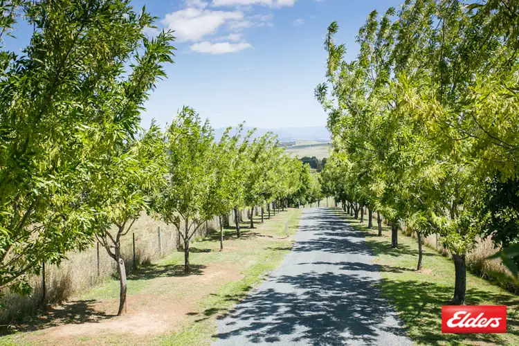 Seventh view of Homely house listing, 206 Gooromon Ponds Road, Wallaroo NSW 2618
