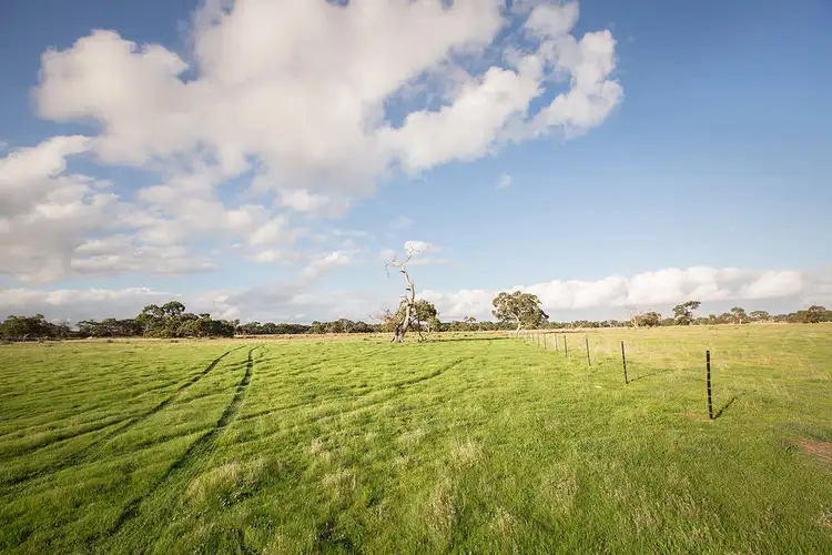 Fifth view of Homely rural property listing, 24244 Princes Highway, Lucindale SA 5272