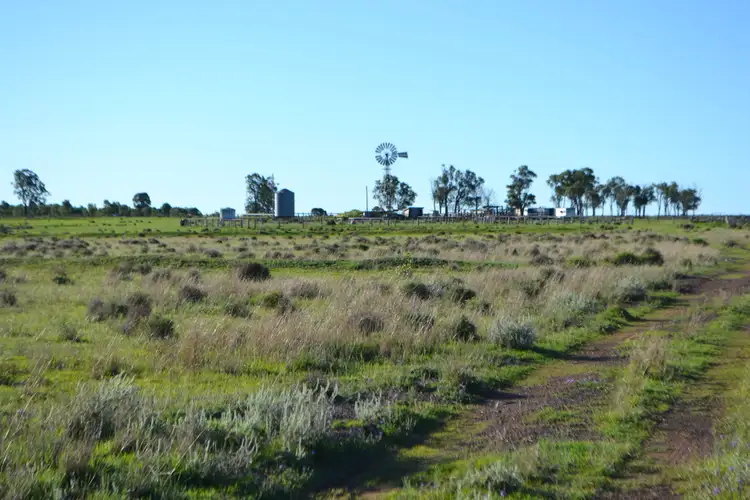 Third view of Homely land listing, 1731 Old Rosevale Road, Jandowae QLD 4410