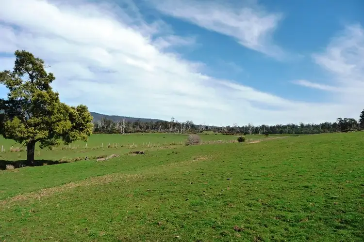 Fifth view of Homely rural property listing, 89 Lindsays Road, Whitemore TAS 7303