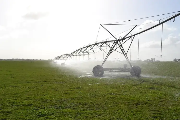 Fourth view of Homely rural property listing, 235 "Box Hill" Jabe Williams Road, Lucindale SA 5272