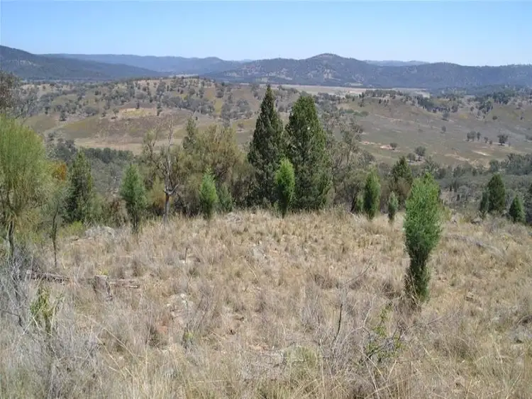 Sixth view of Homely rural property listing, Lot 5 "Cooees Mountain" Yarrabin Road, Yarrabin NSW 2850