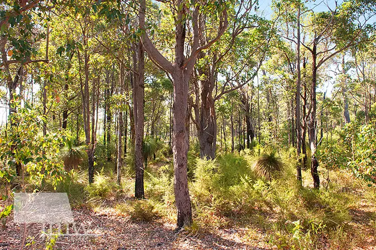 Second view of Homely land listing, Lot 5 (24) Brockman Road, Cowaramup WA 6284