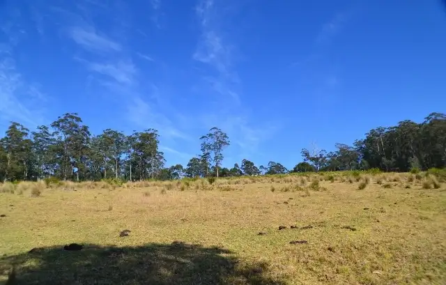 Second view of Homely rural property listing, Lot 145 Costigans Road, Yarras NSW 2446