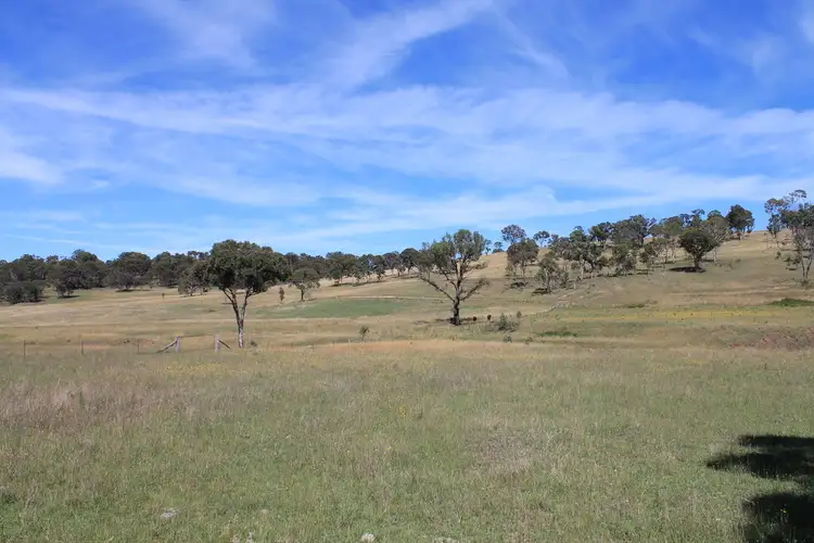 Fifth view of Homely rural property listing, 177 Herbert Park Road, Armidale NSW 2350