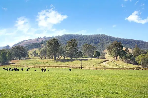 Fifth view of Homely rural property listing, 1962 Allyn River Road, Gresford NSW 2311