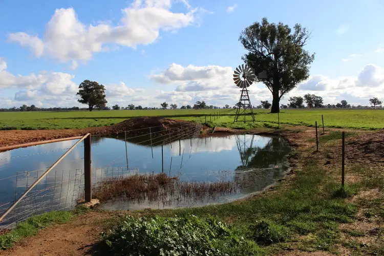 Fifth view of Homely rural property listing, 2466 Mulwala / Corowa Road, Mulwala NSW 2647