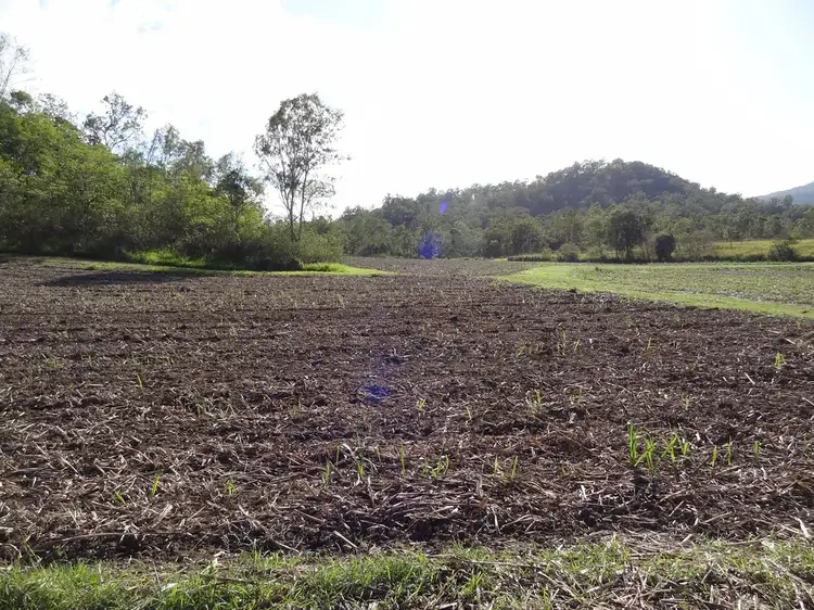 Main view of Homely land listing, 571 Devereux Creek Road, Devereux Creek QLD 4753