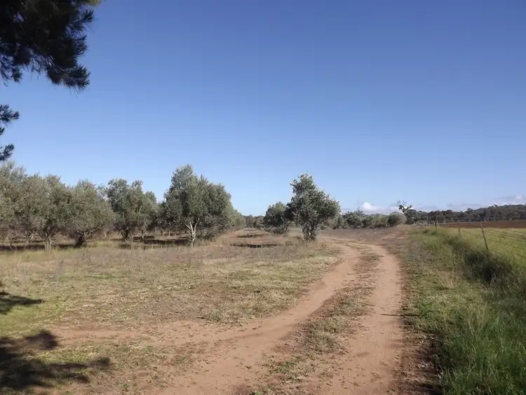 Sixth view of Homely rural property listing, Billabong Binnaway Road, Coonabarabran NSW 2357