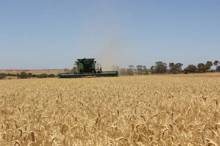 Main view of Homely rural property listing, Lot 20871 Berring Road, Goomalling WA 6460