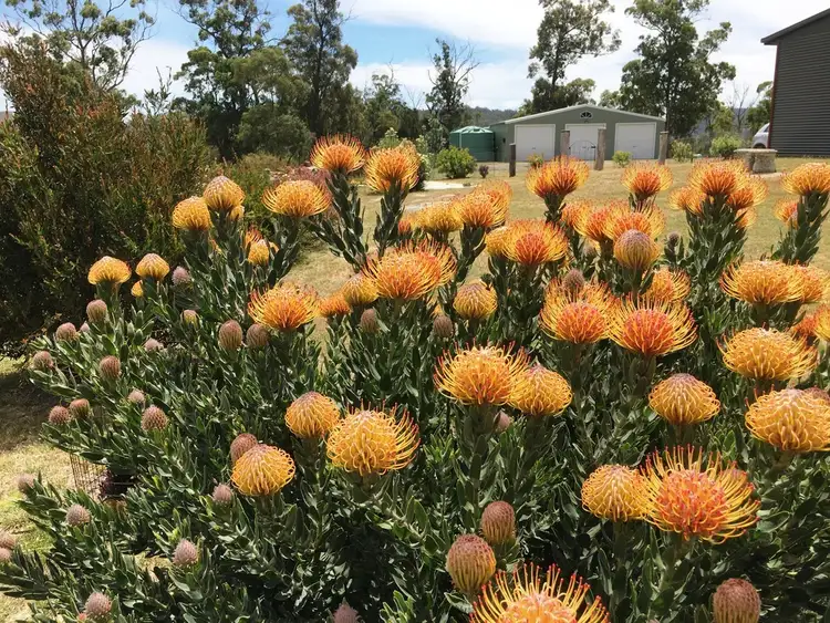 Third view of Homely house listing, 201 Springvale Road, Campania TAS 7026