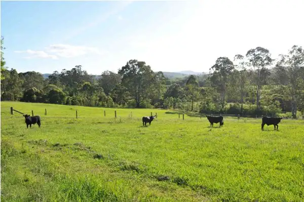Third view of Homely rural property listing, 102 Johnsons Creek Rd, Stroud NSW 2425