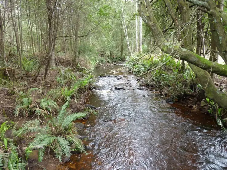. Sheffield Road, Railton TAS 7305