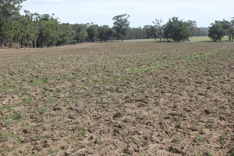 Second view of Homely rural property listing, Lot 819 Halsey Road, Mount Barker WA 6324