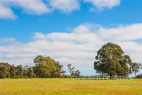 Sixth view of Homely rural property listing, 47 Norman Murdoch Rd, Metricup WA 6280