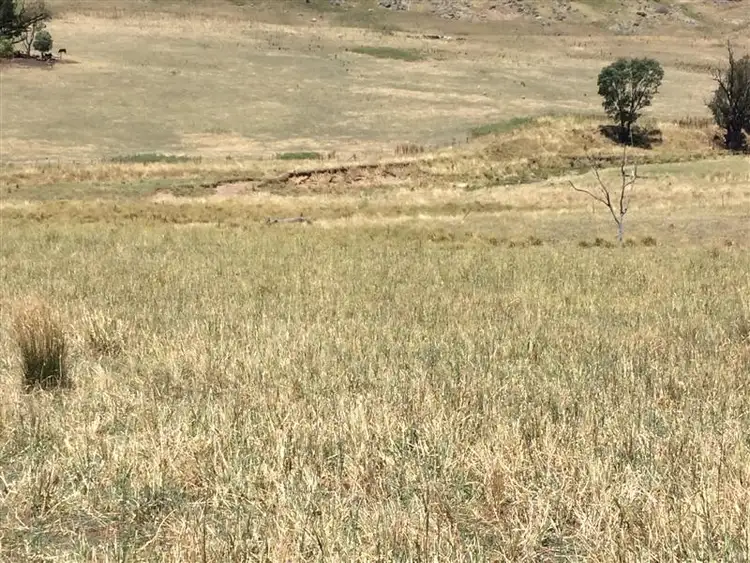 Sixth view of Homely rural property listing, lot 8222 Yaven Creek Road, Adelong NSW 2729