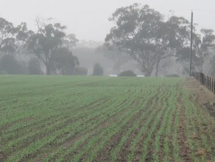 Seventh view of Homely land listing, 112 Lawsons Road, Dimboola VIC 3414